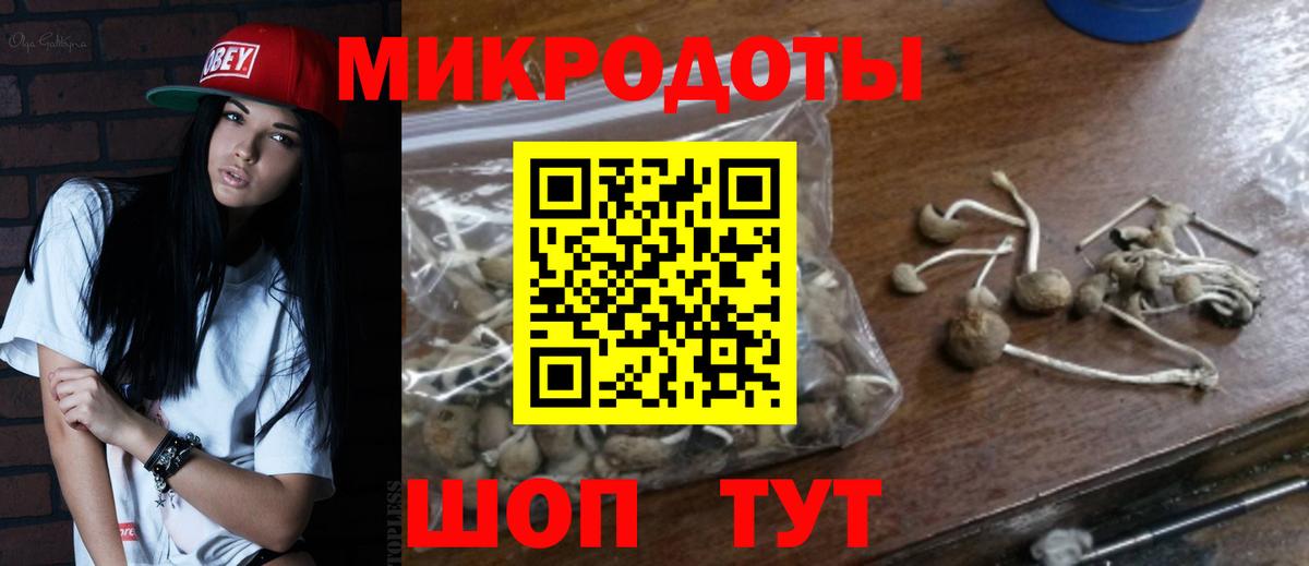 Псилоцибиновые грибы Psilocybe Железноводск